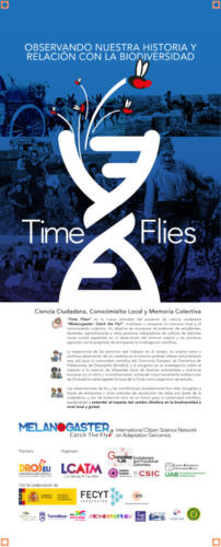 01 OK Logo-Banner-Time-Flies-MCTF