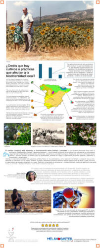 05 Banner-Time-Flies-cultivos-o-practicas-que-afectan-a-la-biodiversidad-local