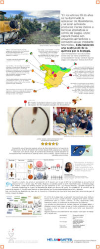 06 Banner-Time-Flies-Suzuki