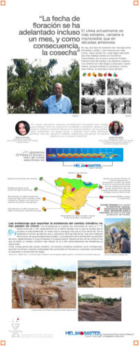 07 Banner-Time-Flies-La-fecha-de-floracion