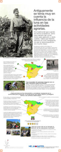 08 Banner-Time-Flies-Antiguamente