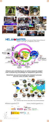 10 Banner-Time-Flies-project