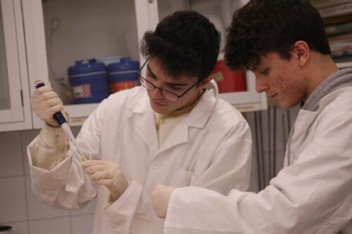 Alumnado-trabajando-en-la-validacion-experimental-Hospitalet-2024