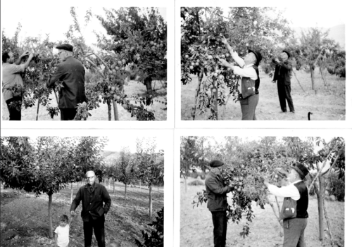 Captura-de-pantalla-2025-03-05-113824 (1)