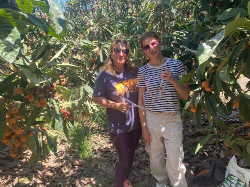 Colecta-de-Drosophila-Granada-2024