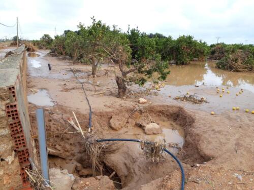 Consecuencias-de-la-dana-en-el-campo-Valencia-2024-2