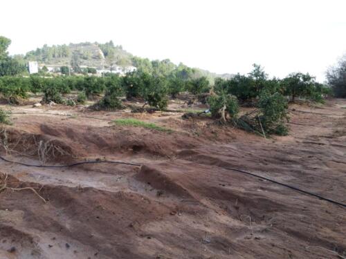 Consecuencias-de-la-dana-en-el-campo-Valencia-2024-3