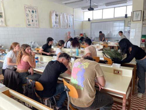 Identificacion-de-especies-Alicante-2023