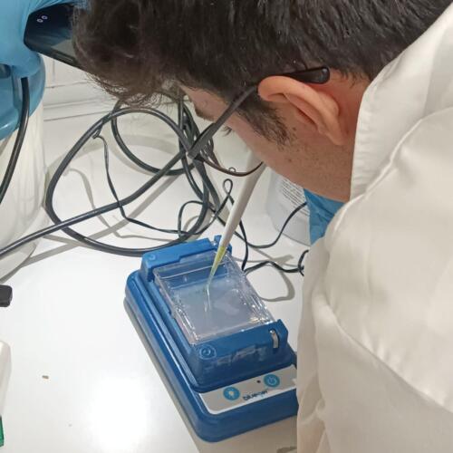 Imagen-de-WhatsApp-2025-01-28-a-las-11.37.33 1e50d732