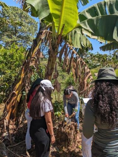 Imagen-de-WhatsApp-2025-01-28-a-las-11.37.35 04696403