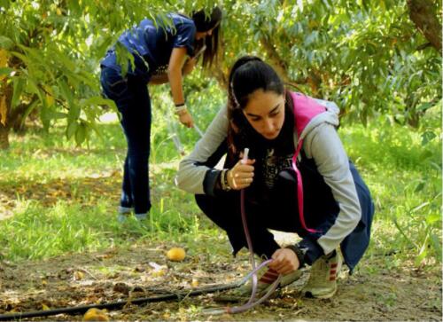 Imagen-de-WhatsApp-2025-01-28-a-las-11.37.36 f9ae3e16