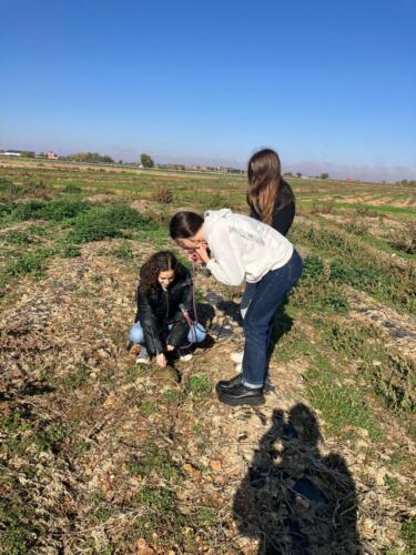 Imagen-de-WhatsApp-2025-02-06-a-las-10.57.54 0e4ba583