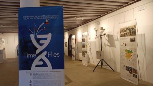 Imagen-de-WhatsApp-2025-02-19-a-las-09.32.32 dec2c7dd