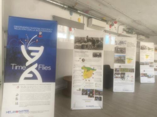 Imagen-de-WhatsApp-2025-03-26-a-las-11.21.07 1b5cf620