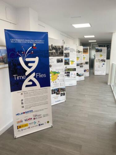 Imagen-de-WhatsApp-2025-04-04-a-las-19.12.08 9e40f94c