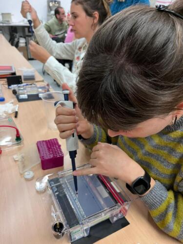 Laboratorios-de-innovacion-abierta-Zaragoza-2024