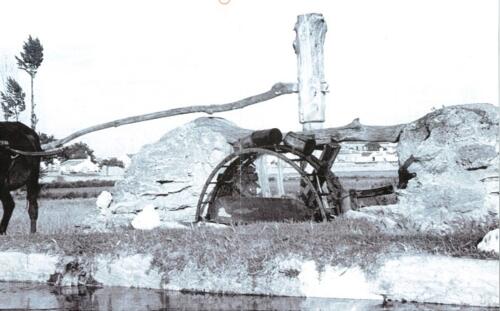 Noria-Museo-del-carro-de-Tomelloso-1955 (1)