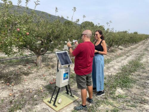 Recoleccion-de-datos-de-la-estacion-meteorologica-Alicante-2024