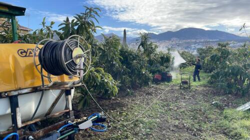 Riego-por-goteo-Granada-2025-2