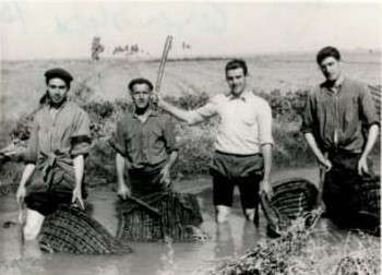 Trabajadores-del-cultivo-V.-redondo-Berzosa-Tomelloso-1960 (1)