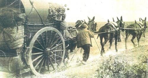 Transporte-de-la-uva-Museo-del-Carro-Tomelloso-1930 (1)