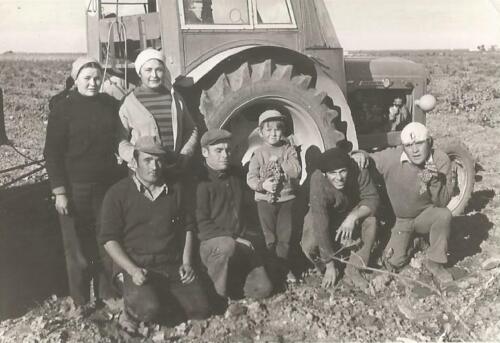 Vendimia-Florentino-Casero-Ruiz-Tomelloso-1970-75-2